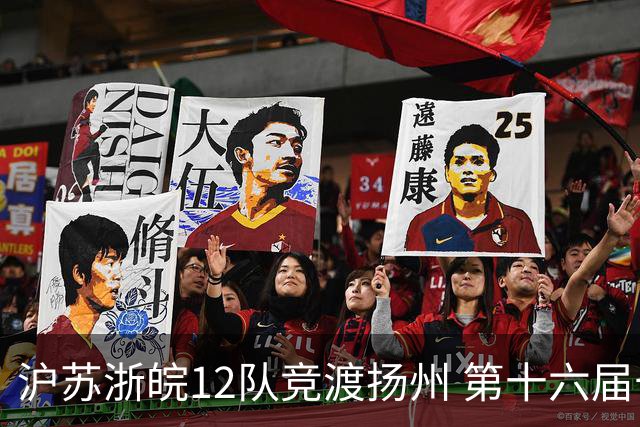 沪苏浙皖12队竞渡扬州 第十六届长三角龙舟赛擂鼓开桨