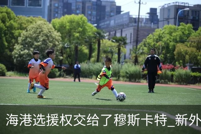 海港选援权交给了穆斯卡特 新外援偏向巴西帮